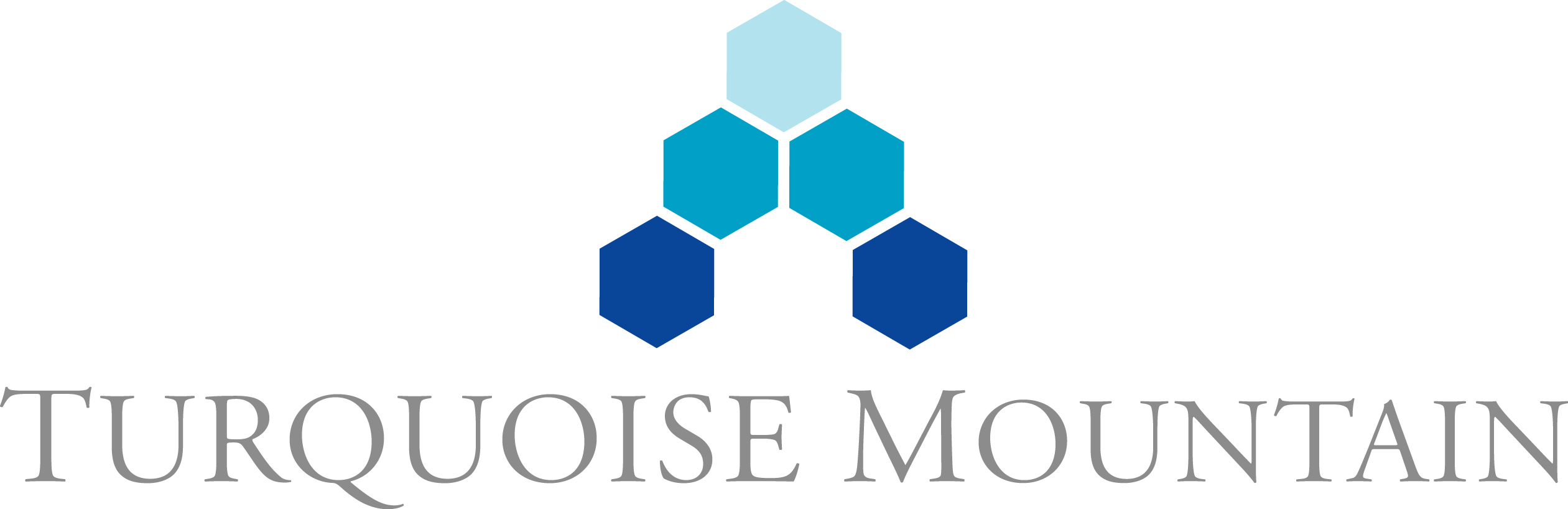 turquoisemountainlogo